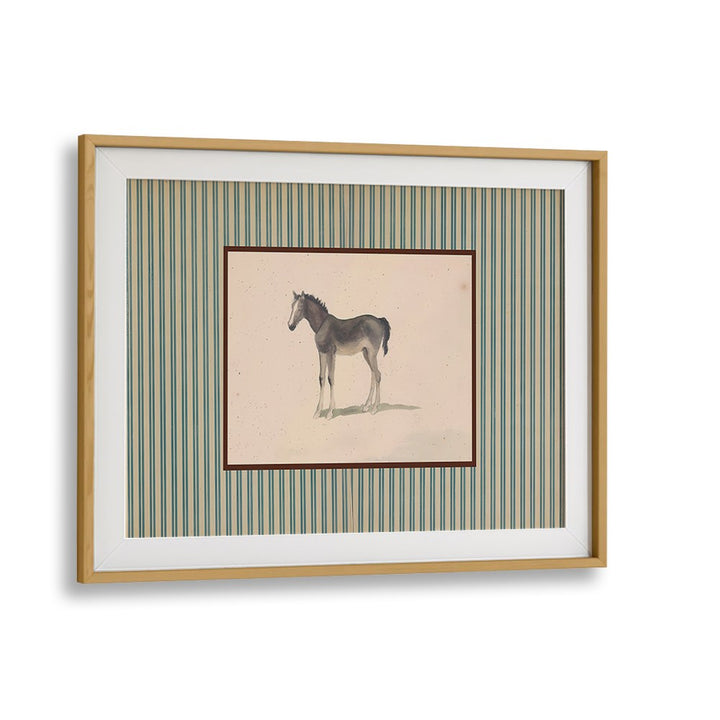 GENTLE FOAL PORTRAIT