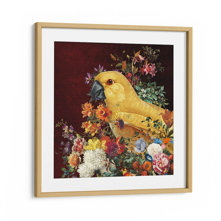 GOLDEN PARROT BLOOM