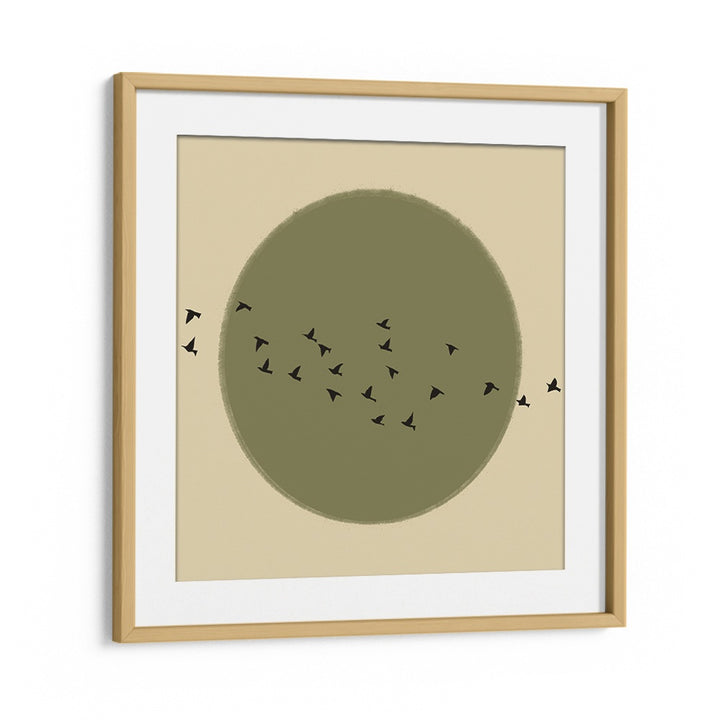 GRACEFUL BIRDS SOARING
