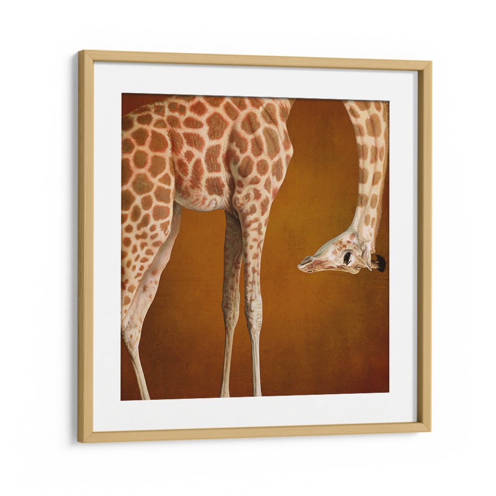 GRACEFUL GIRAFFE PORTRAIT