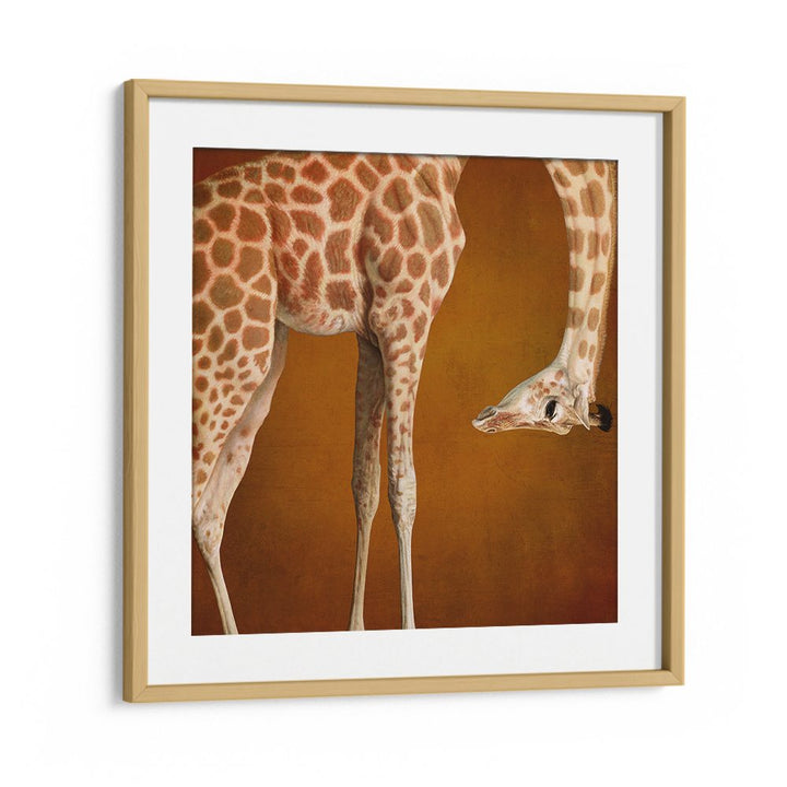 GRACEFUL GIRAFFE PORTRAIT