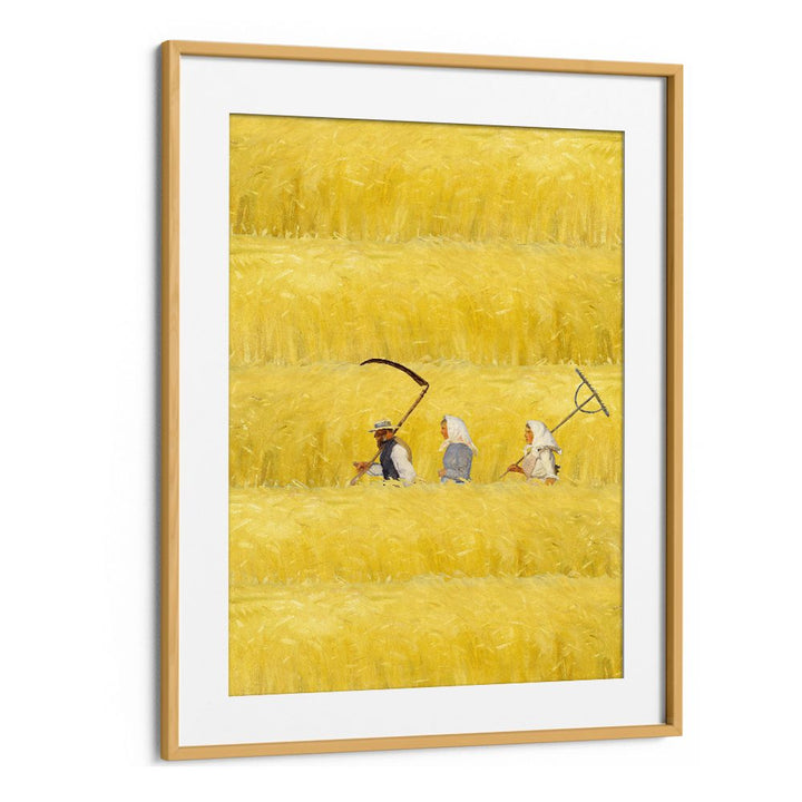 HARVESTING THE GOLDEN FIELD