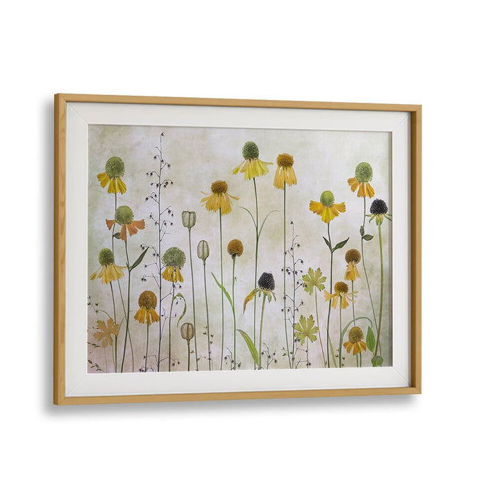 Stunning HELENIUM, FLORAL FLOWER PAINTINGS in a modern frame, perfect for enhancing your living space decor.