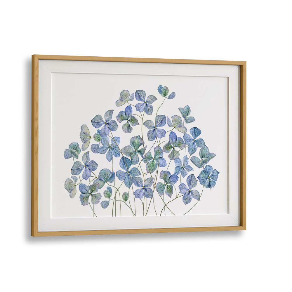 Lifelike HYDRANGEA, FLORAL FLOWER PAINTINGS bring elegance and vibrant charm to your decor. Perfect for any space.
