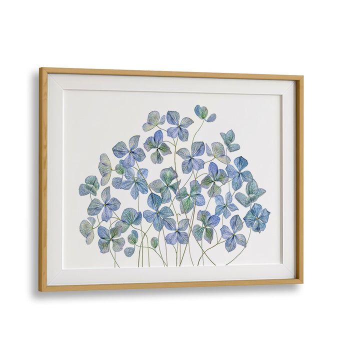 Lifelike HYDRANGEA, FLORAL FLOWER PAINTINGS bring elegance and vibrant charm to your decor. Perfect for any space.