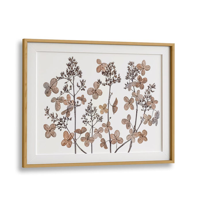 Stunning HYDRANGEA PANICULATA, FLORAL FLOWER PAINTINGS featuring delicate flower clusters in an elegant frame.
