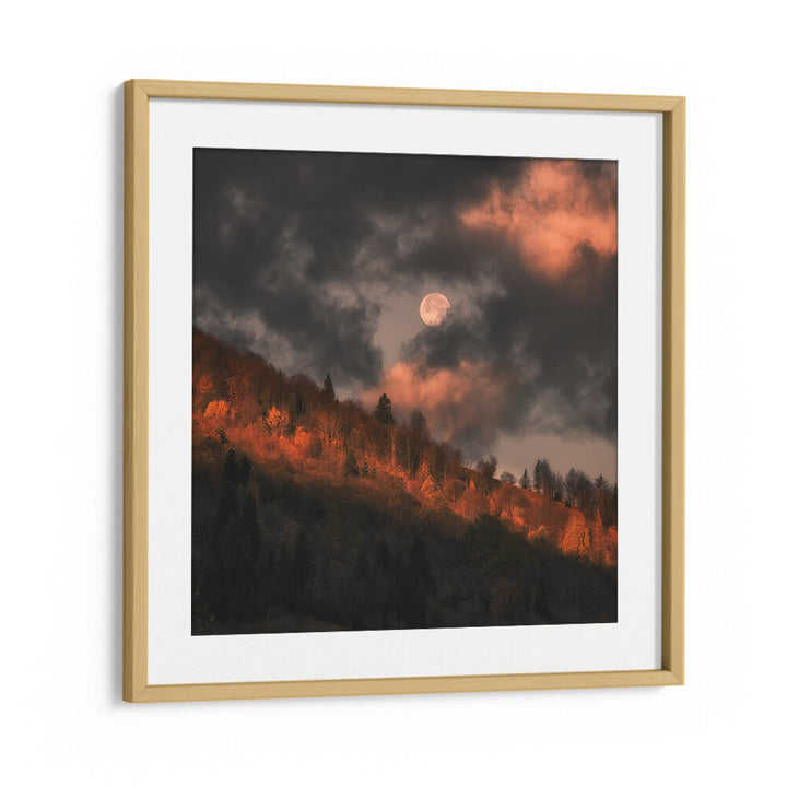 MOON DOESN'T WANT TO GO