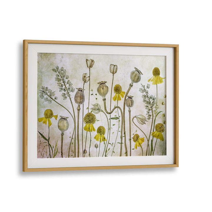 Vibrant POPPIES AND HELENIUM, FLORAL FLOWER PAINTINGS, perfect for home decor and special events. Transform your space!