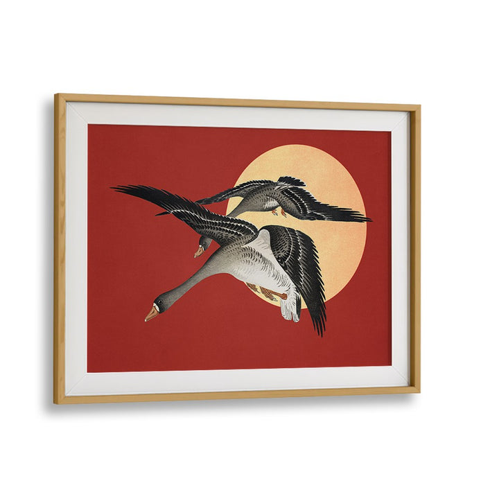RED SUN GEESE FLIGHT