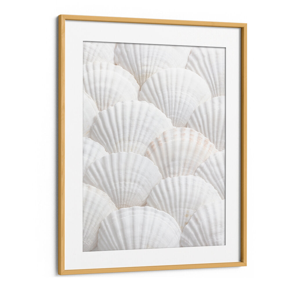 Transform your space with SHELLS III, BEACH PAINTINGS, featuring serene seashells for a calming coastal vibe.