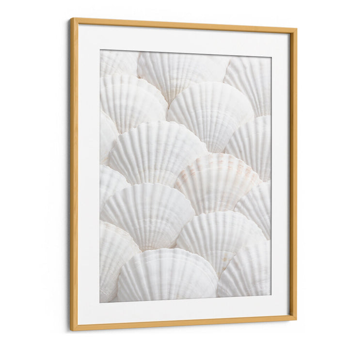 Transform your space with SHELLS III, BEACH PAINTINGS, featuring serene seashells for a calming coastal vibe.