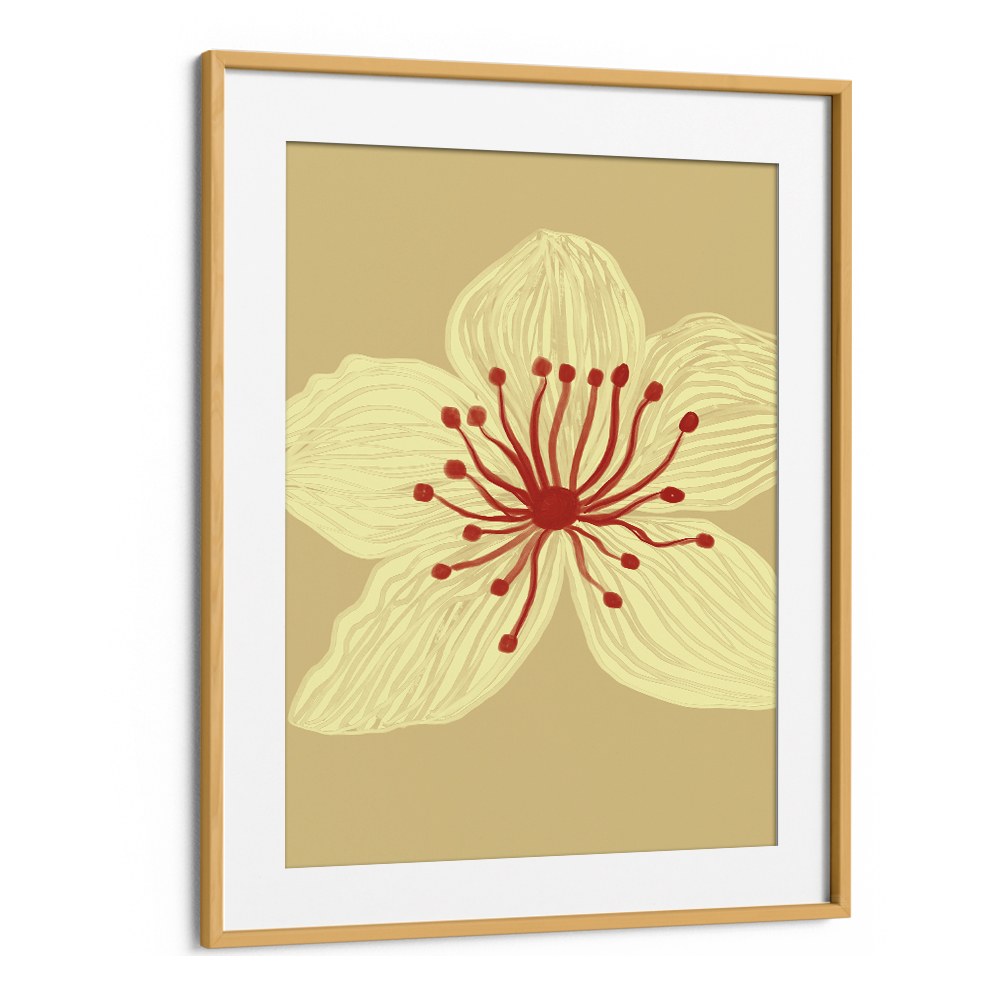 SOFT CREAM BLOSSOM