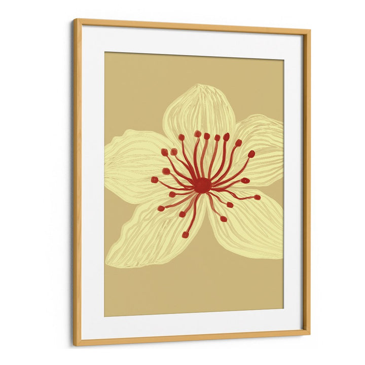 SOFT CREAM BLOSSOM