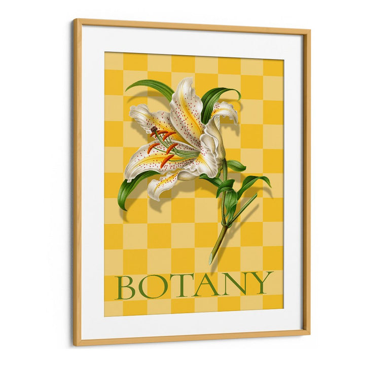 SPOTTED LILY BOTANICAL