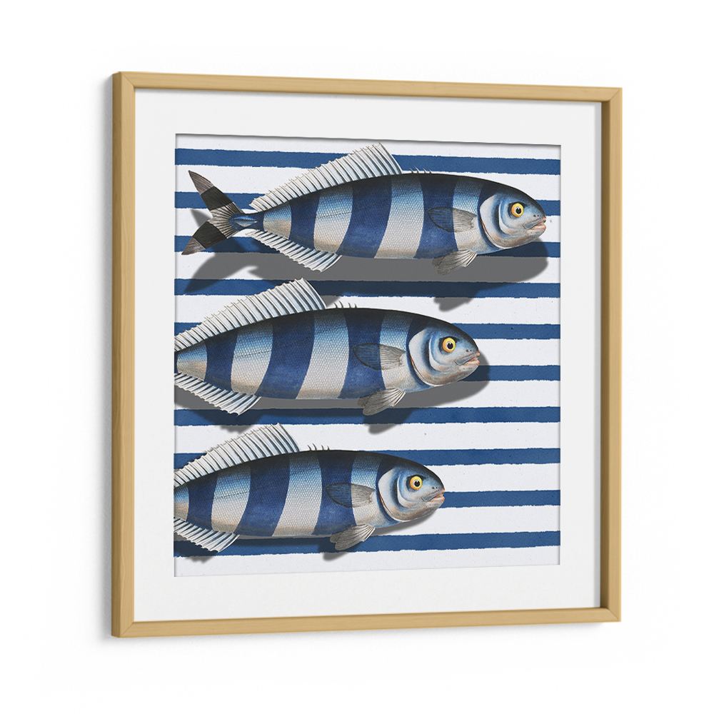 STRIPED OCEAN FISH