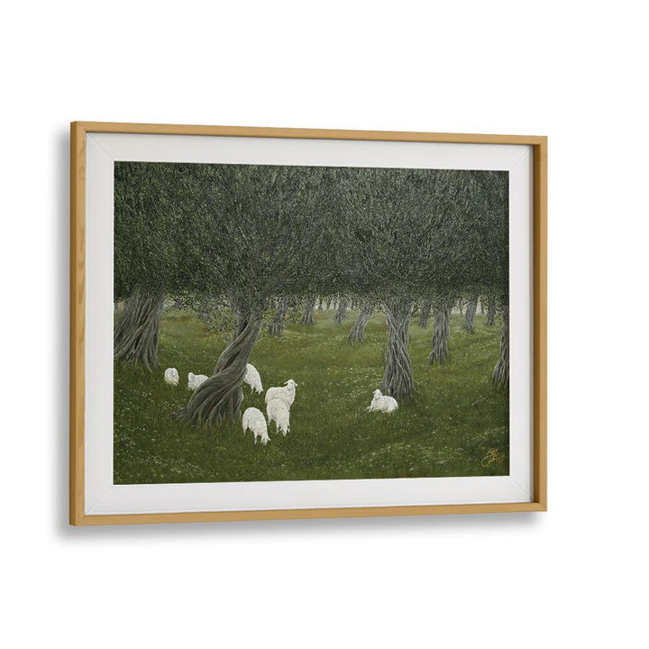 SHAMBLE GROVE, ANIMAL PAINTINGS: a serene artwork featuring sheep under olive trees, perfect for enhancing your space.