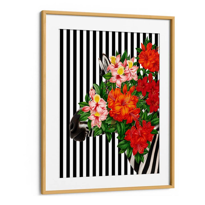 TROPICAL ZEBRA BLOOM