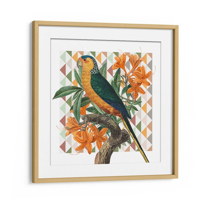VIBRANT PARROT ILLUSTRATION