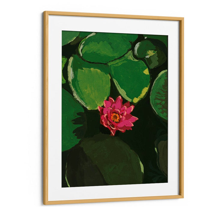 VIBRANT PINK WATER LILY