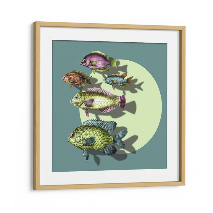 VIBRANT SWIMMING FISH