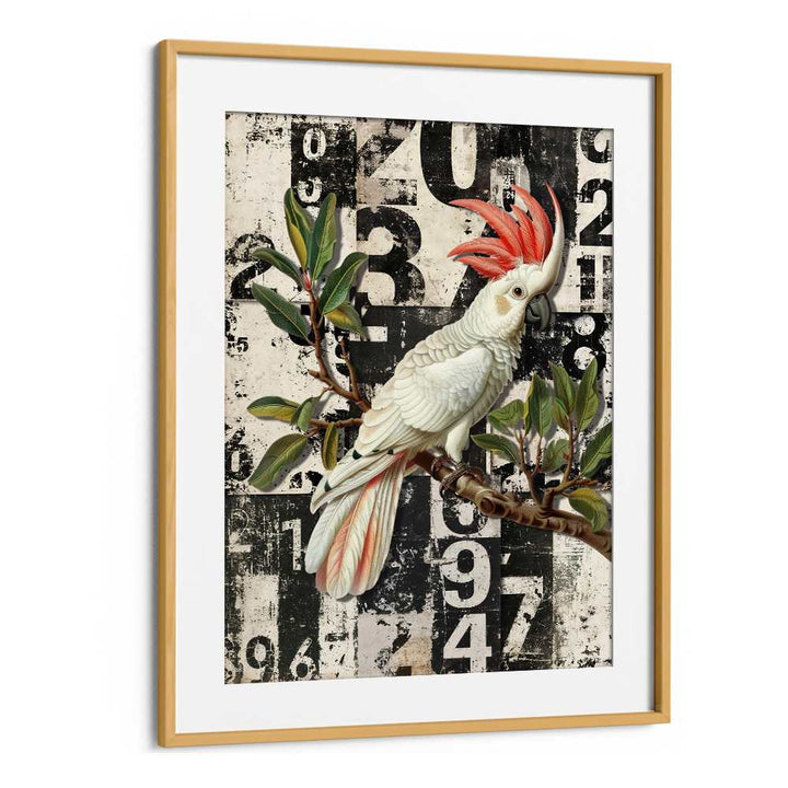 WHITE COCKATOO GRUNGE NUMBERS