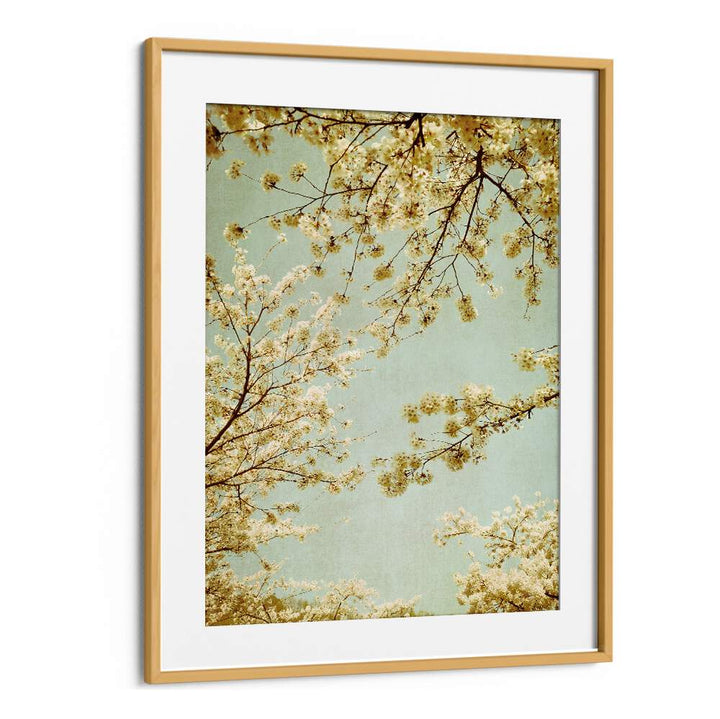 Delicate cherry blossoms against a vintage sky in the enchanting VINTAGE SKY, FLORAL FLOWER PAINTINGS collection.