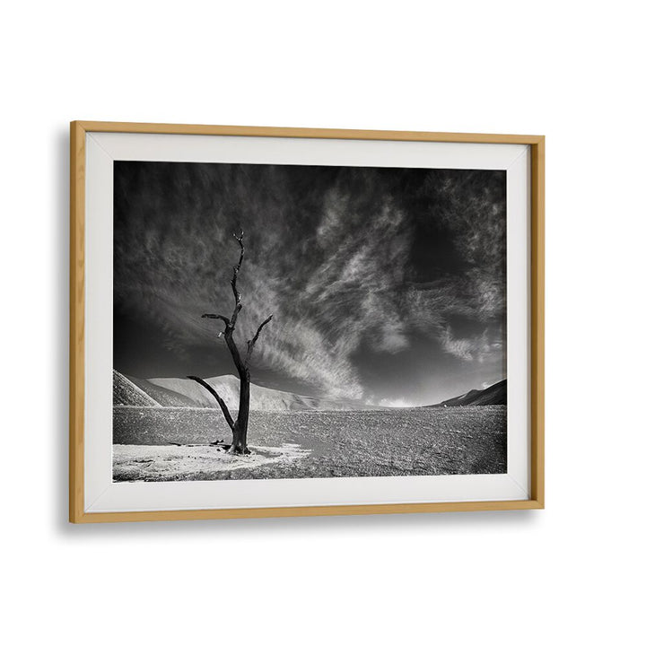Stunning ALONE I photography print featuring a solitary tree against a dramatic landscape, perfect for transforming your space.