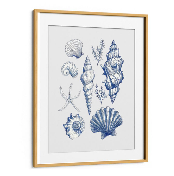 Elegant SHELL COLLAGE, BEACH PAINTINGS featuring various seashells, perfect for a coastal-themed decor. Ideal for serene spaces.
