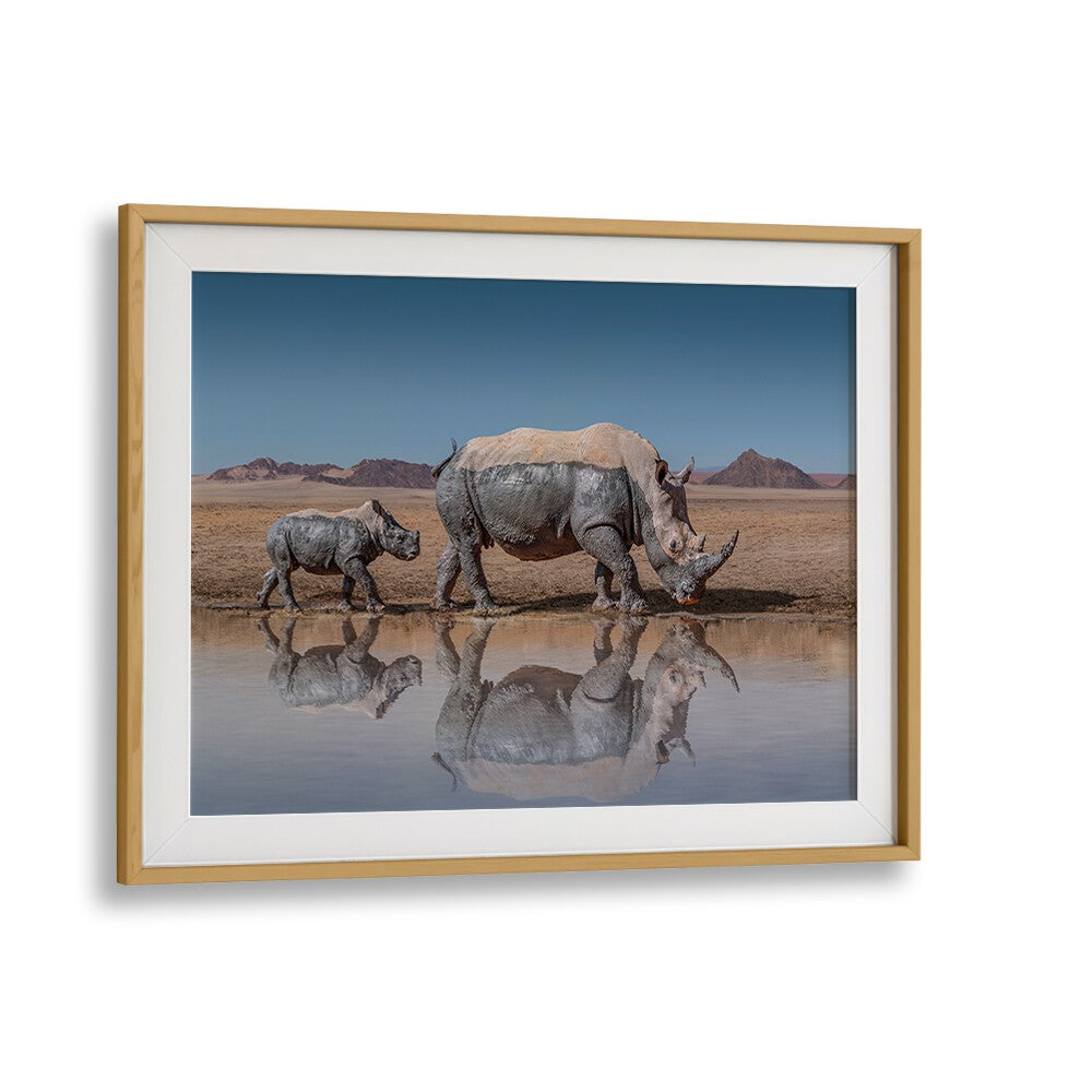 Rhinos walk gracefully by a water source, captured in stunning detail with RHINOS WALK, PHOTOGRAPHY PRINTS.