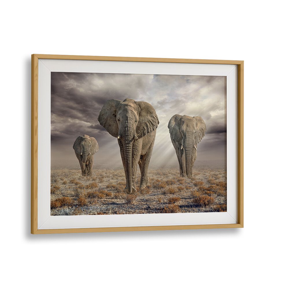 Majestic Etosha Elephants captured in stunning photography prints, showcasing their beauty in a natural setting.