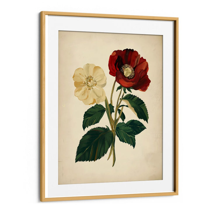 Delicate 18TH CENTURY BOTANICAL, FLORAL FLOWER PAINTINGS featuring vibrant red and white flowers, perfect for décor.