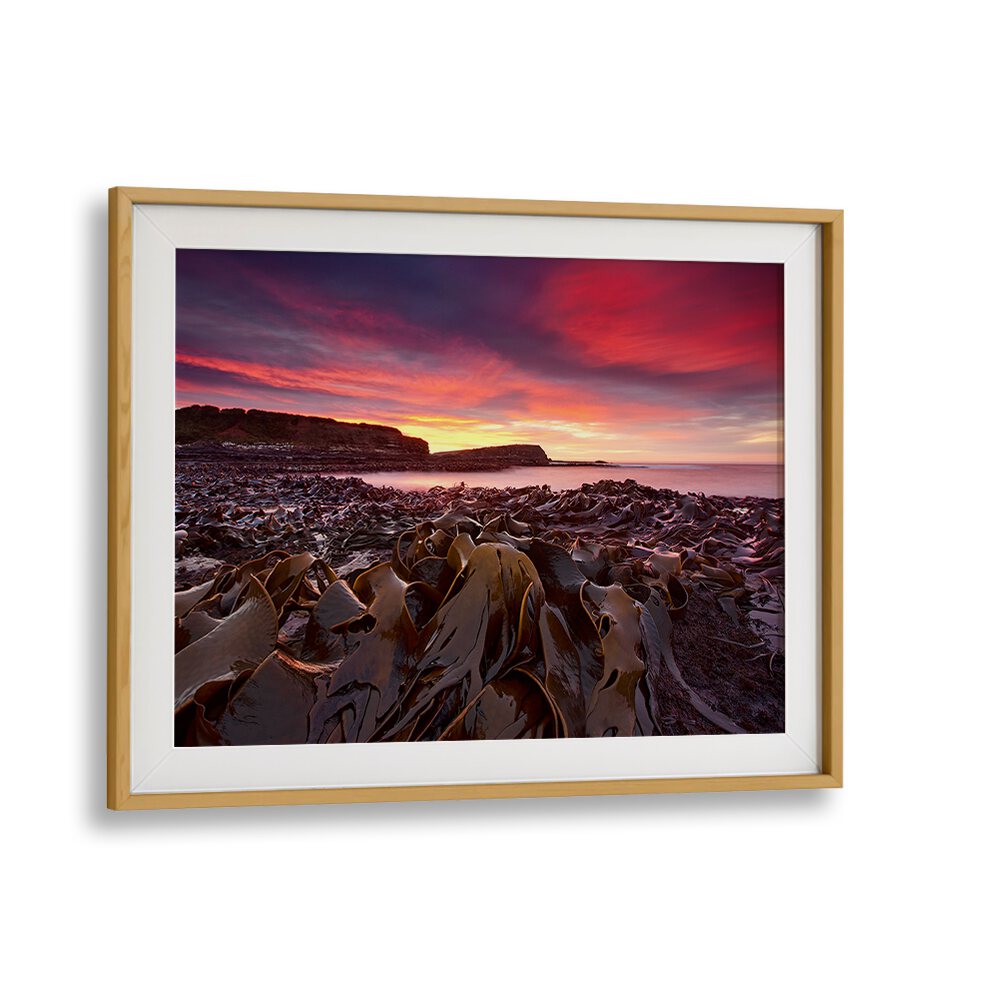 CURIO BAY MORNING, PHOTOGRAPHY PRINTS showcase a stunning landscape with vibrant colors reflecting nature's beauty.