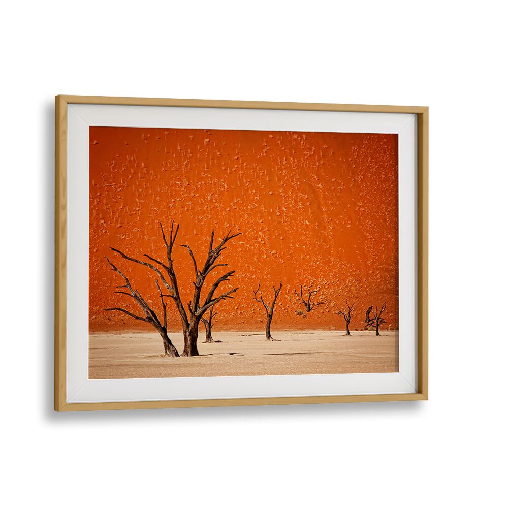 Exquisite landscape featuring stark trees against an orange backdrop, showcasing THE OLDER, PHOTOGRAPHY PRINTS collection.