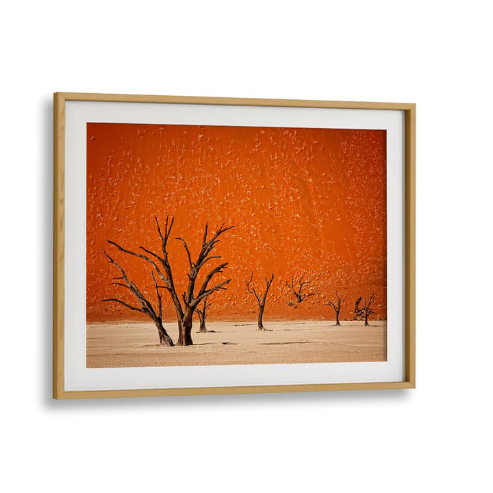 Exquisite landscape featuring stark trees against an orange backdrop, showcasing THE OLDER, PHOTOGRAPHY PRINTS collection.