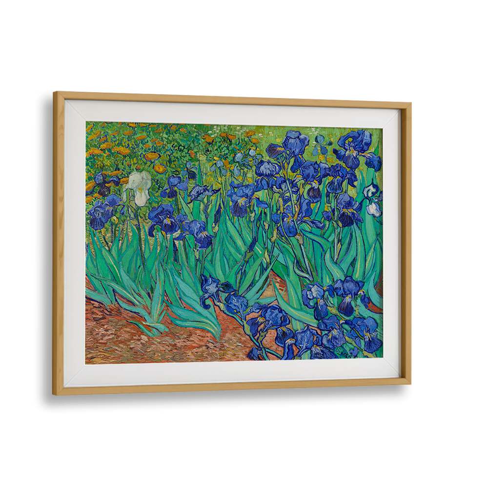 VINCENT VAN GOGH'S IRISES (1889) , VINTAGE PAINTINGS