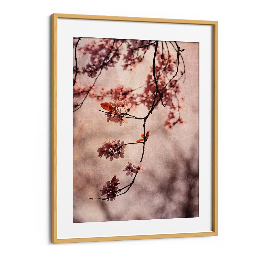Delicate cherry blossoms in our VINTAGE PINK, FLORAL FLOWER PAINTINGS create a serene ambiance for your home.
