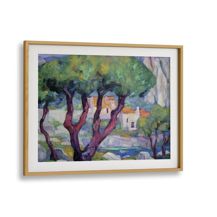 Stunning cypress trees in the mountains, bringing elegance and tranquility to any landscape setting.