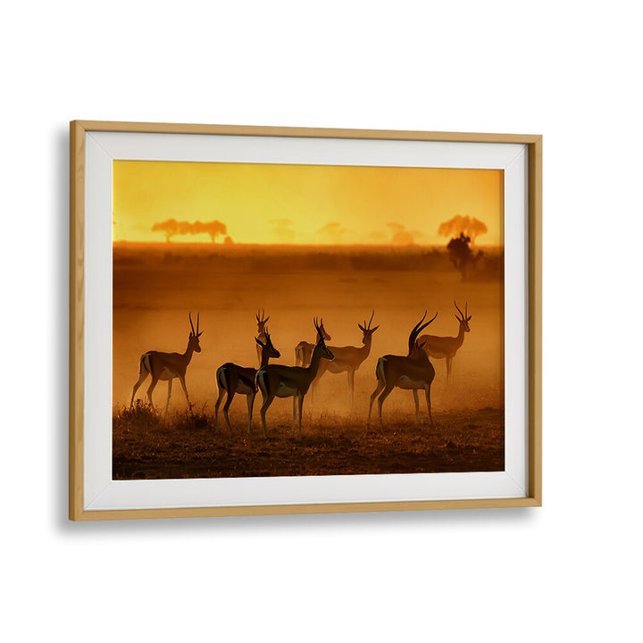 Stunning GOLDEN LIGHT, PHOTOGRAPHY PRINTS featuring wildlife silhouettes against a vibrant sunset backdrop.
