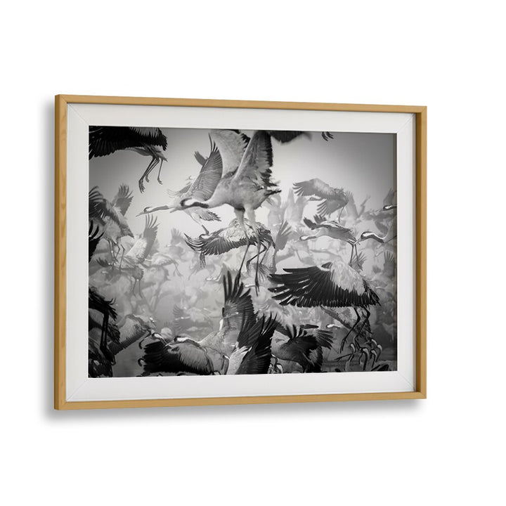 Dynamic black and white art featuring flying birds, embodying CHAOS, PHOTOGRAPHY PRINTS for a striking decor choice.