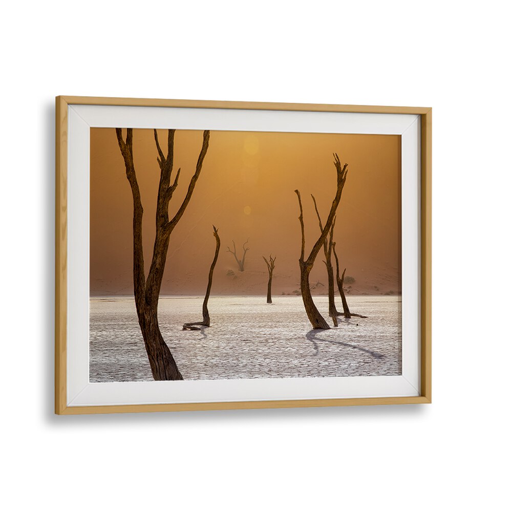 Stunning ASCENSIONA photography prints showcase a surreal landscape with elegant, twisted trees framed beautifully.