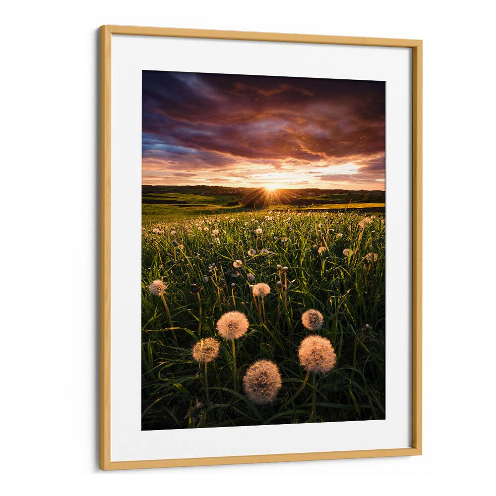 POPPY WORLD , LANDSCAPE PHOTO PRINTS , LANDSCAPE PHOTOGRAPHY