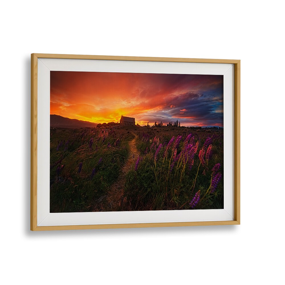Stunning sunset landscape featuring vibrant flowers, perfect for enhancing your space with IN THE WIND, PHOTOGRAPHY PRINTS.