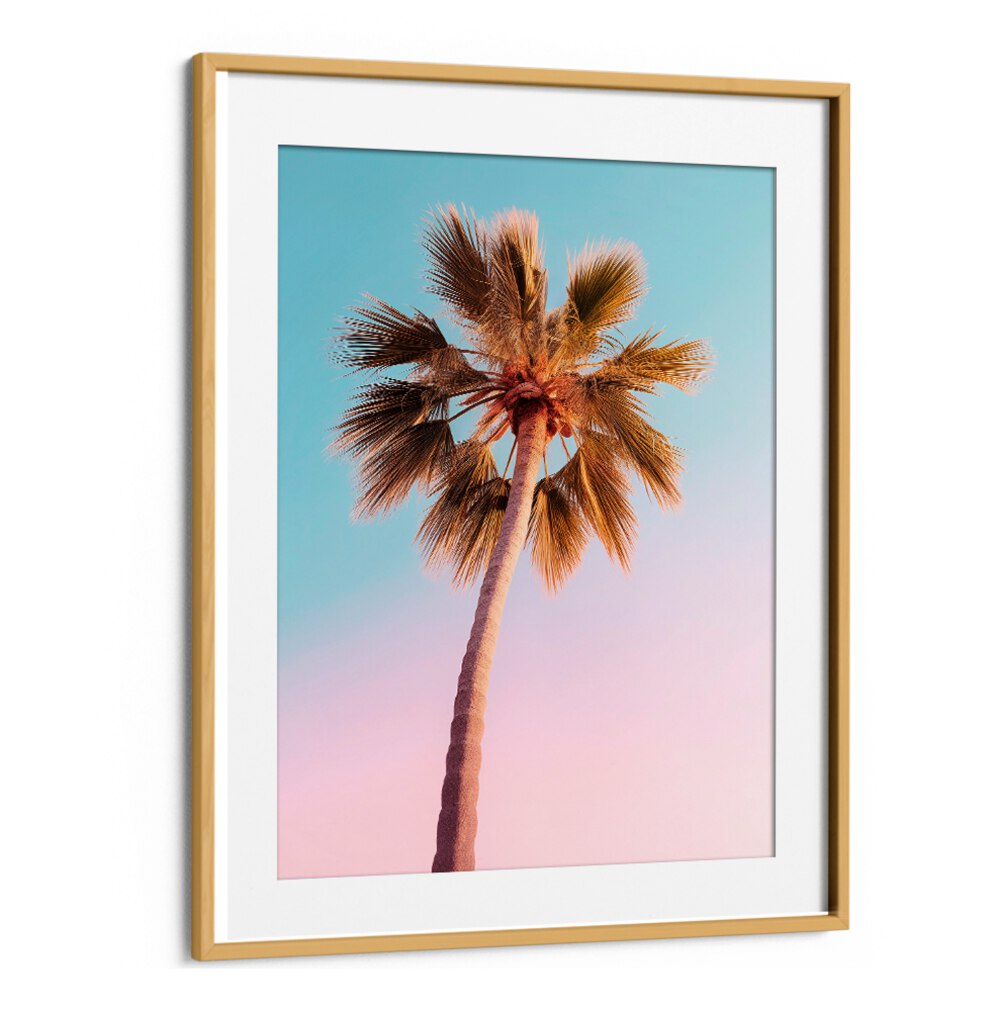 Stunning wall art featuring THE PASTEL PALM , BEACH PAINTINGS, perfect for adding tropical elegance to any room.