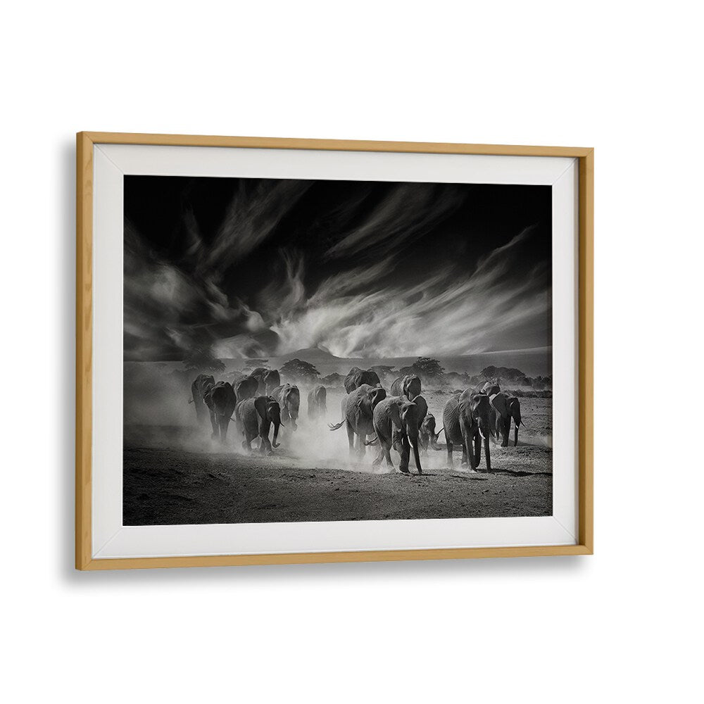 Breathtaking black and white scene of elephants under dramatic clouds in THE SKY, PHOTOGRAPHY PRINTS collection.