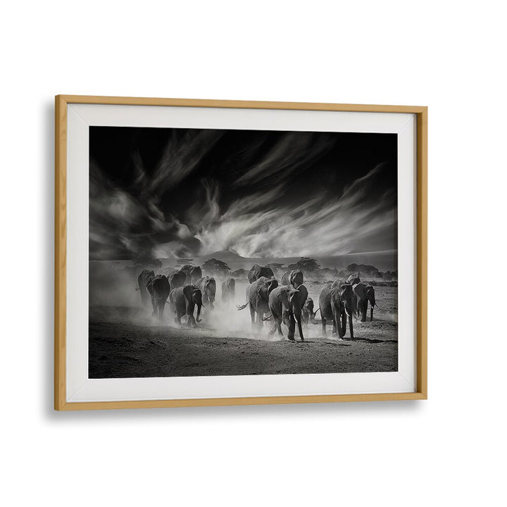Breathtaking black and white scene of elephants under dramatic clouds in THE SKY, PHOTOGRAPHY PRINTS collection.