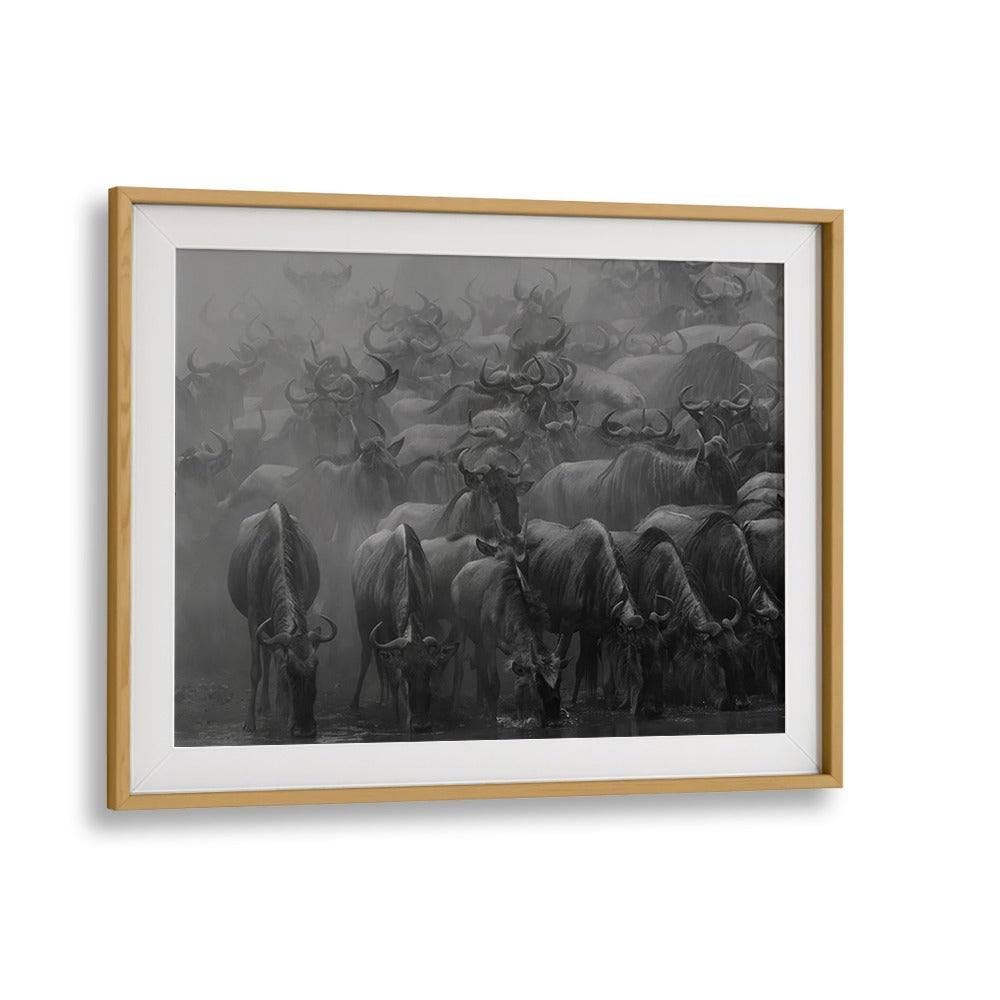 Stunning black-and-white depiction of wildlife during THE GREAT MIGRATION, PHOTOGRAPHY PRINTS for nature lovers.