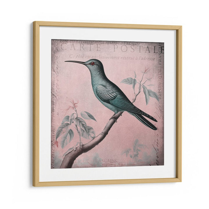 HUMMINGBIRD ROMANCE PASTEL PINK II BY ANDREA HAASE , WILDLIFE POSTERS, WILDLIFE PAINTINGS