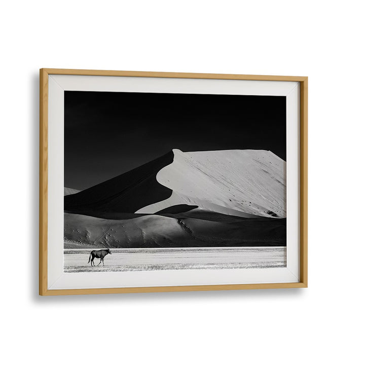 Stunning black and white landscape featuring serene dunes, perfect for adding elegance with THE SOLITARY, PHOTOGRAPHY PRINTS.