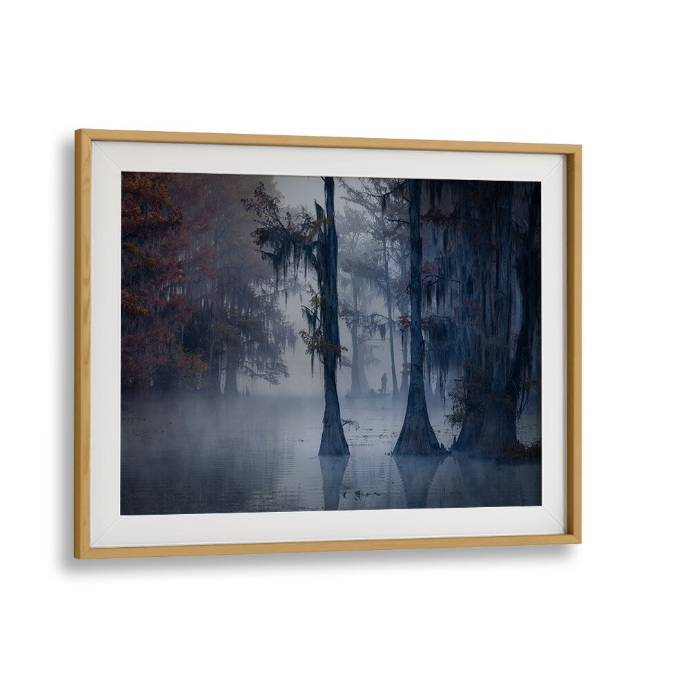 HAUNTED FOREST BY MICHAEL ZHENG , LANDSCAPE PHOTO PRINTS