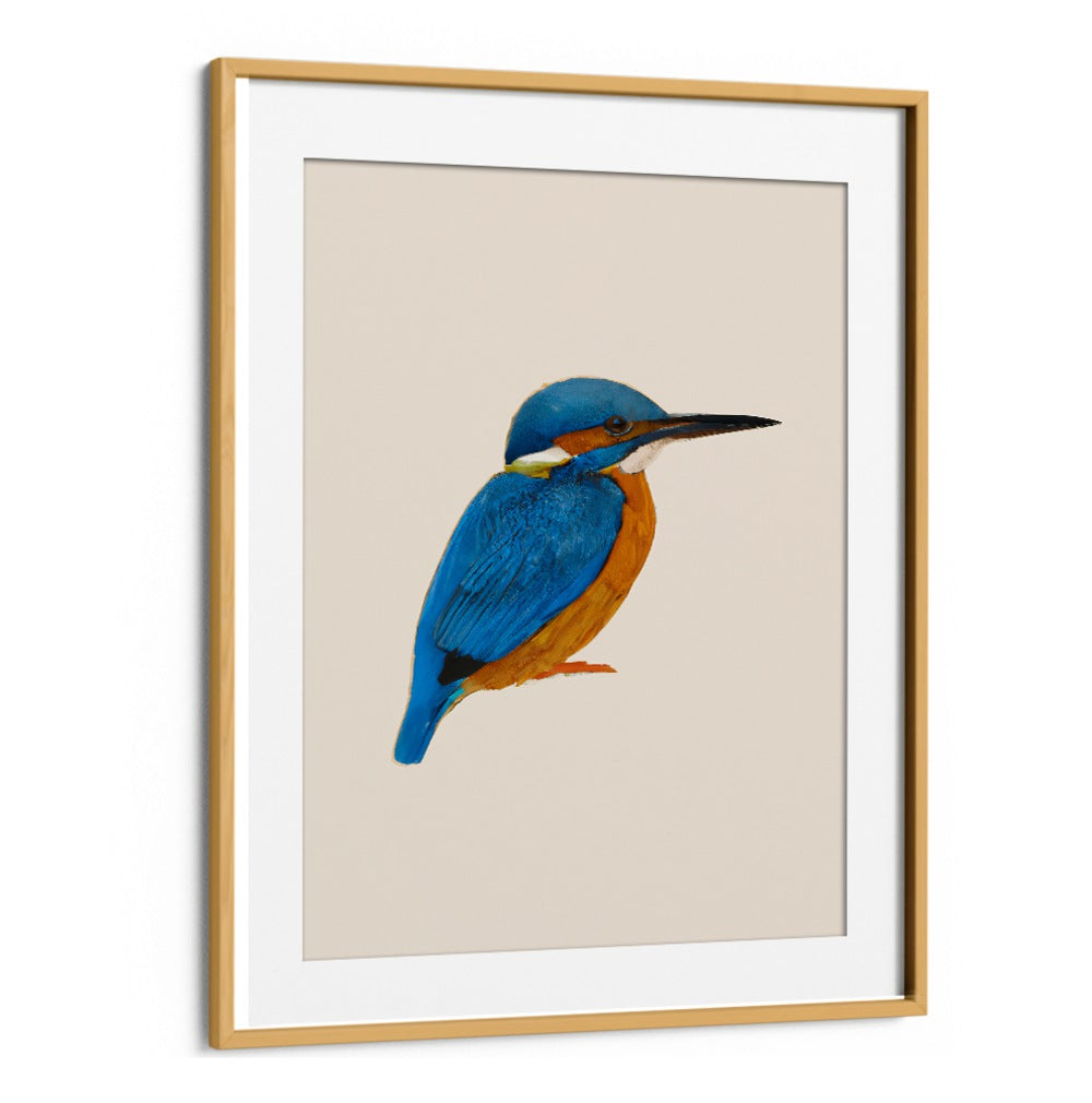 RAINFOREST REBEL , ANIMAL PAINTINGS featuring vibrant blue and orange kingfisher bird art from Oakwood Mount collection